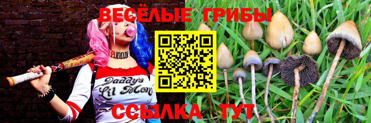 Галлюциногенные грибы ЛСД  Галлюциногенные грибы прущие грибы  Вход с VPN  Мценск 
